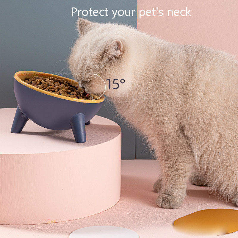Tilted Cat & Dog Bowl with Stand – Ergonomic 15° Pet Feeder