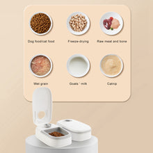 Timed Automatic Pet Feeder™ – Reliable Meal Scheduling Without Batteries or WiFi