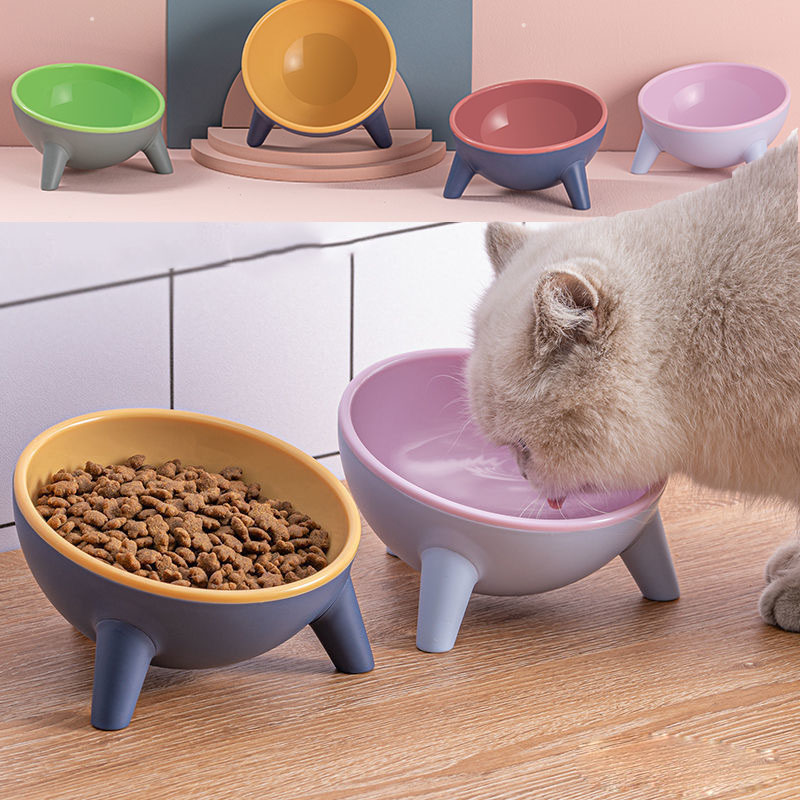 Tilted Cat & Dog Bowl with Stand – Ergonomic 15° Pet Feeder
