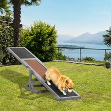 PawHut Dog Agility Seesaw – Outdoor Training Teeter Totter for Dogs | Anti-Slip Balance Board for Exercise, Confidence & Obedience | Durable Fir Wood