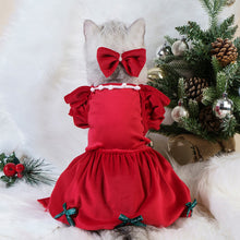Christmas Velvet Cat Dress – Silver Fox Velvet Winter Pet Clothing with Matching Bow Headdress