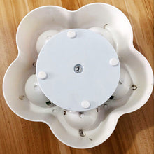 Pet IQ Interactive Food Puzzle Toy – Slow Feeder Educational Treat Dispenser for Dogs & Cats | Smart Food-Seeking Game Bowl | Durable PP Mental Stimulation Toy