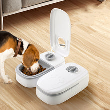 Timed Automatic Pet Feeder™ – Reliable Meal Scheduling Without Batteries or WiFi